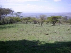 land for sale in Endebess