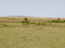 Land for sale in Kasuku