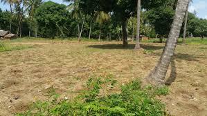 Plots for sale in Utange Mombasa