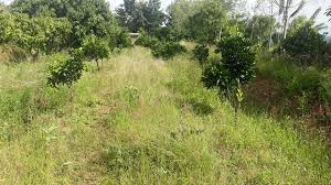 land for sale in Masii