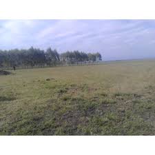 land for sale in makindu