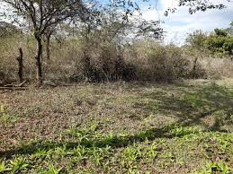 land for sale in kathonzweni