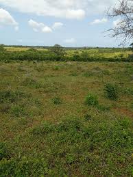 land for sale in mavueni