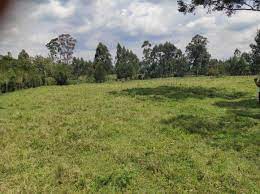 land for sale in chepseon