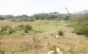 land for sale in ndalu
