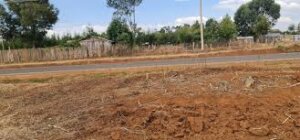 land for sale in soy