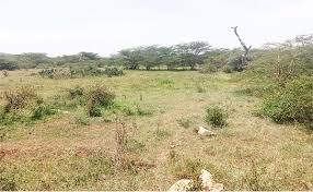 Land for Sale in Cheptais