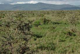 land for sale in burguret nanyuki