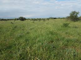 cheap land for sale in kitengela