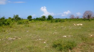 land for sale in ndalu