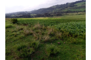 Land for sale in Oljororok