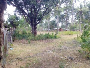 Land for Sale in Kiplamai