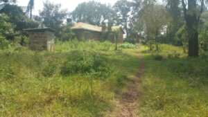 Plots for sale in Kikuyu