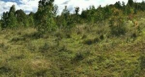 land for sale in Mairo Inya