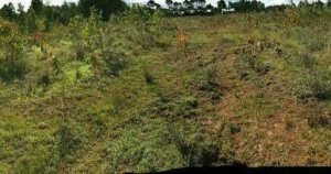 land for sale in Mairo Inya