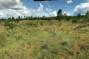 land for sale in Mairo Inya