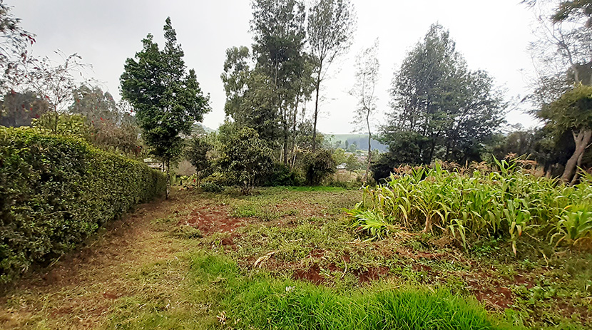 Land for Sale in Moi's Bridge