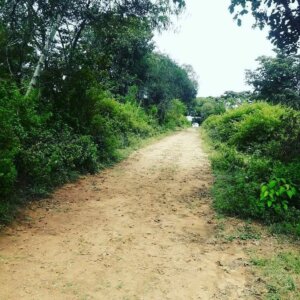 land for sale in Kithimani