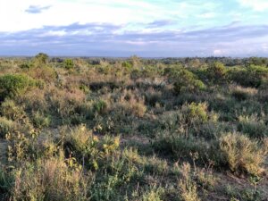 land for sale in burguret nanyuki