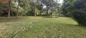 land for sale in katheri timau