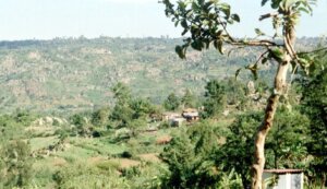 Land for Sale in bunyore