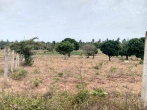 land for sale in sagalla