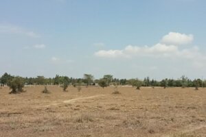 land for sale in malili