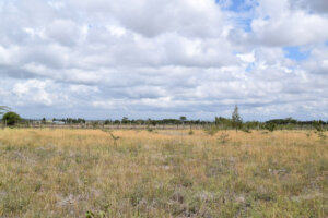 plots for sale in kamulu joska