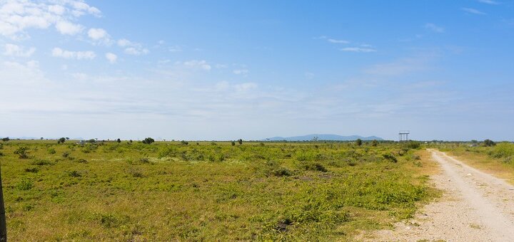 Konza Malili plots