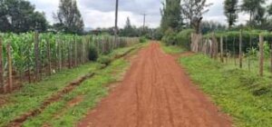 land for sale in chepkanga eldoret