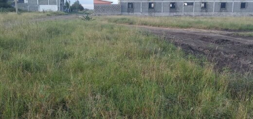 katani plots for sale