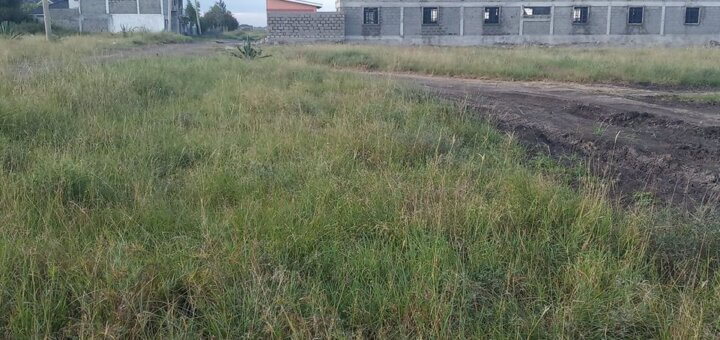 katani plots for sale