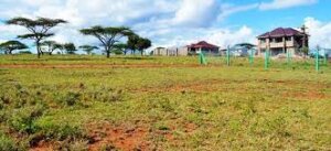 Malaa plots for sale