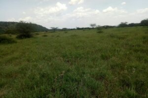 Malaa plots for sale