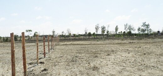 Malaa plots for sale