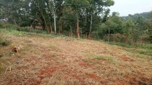 land for sale in gachie kiambu