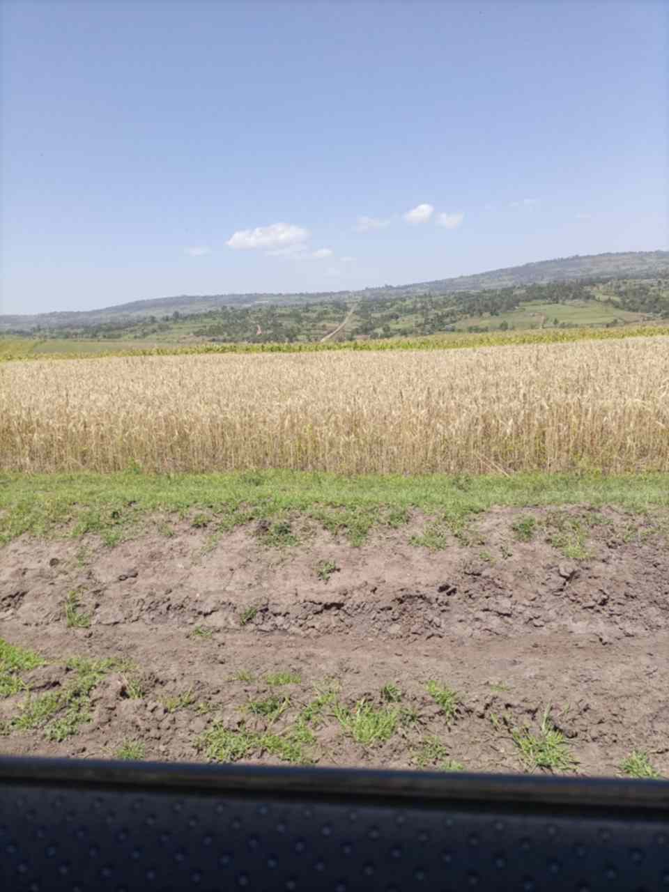 plots for sale in Narok