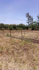 land for sale in Kenol