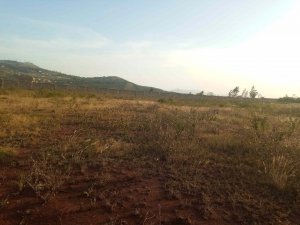 land for sale in Ngong Kibiko