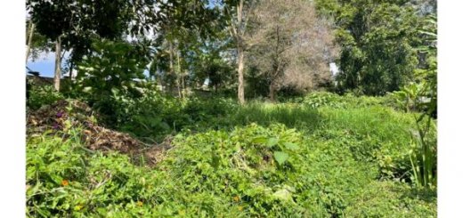 Land for sale in Lower Kabete