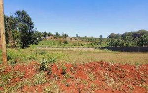 Kiambu Road land for sale