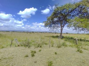 land for sale in nakuru