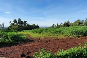 Kiambu Road land for sale