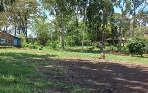 Land for Sale on Thika-Gatanga Road