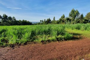 Kiambu Road land for sale