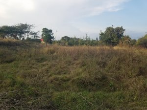 plots for sale in Narok