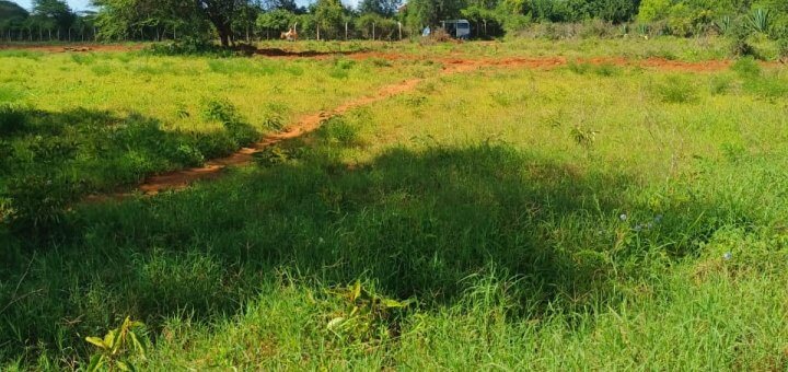 plots for sale in muguga thika