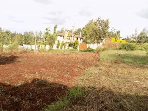 Land for Sale in Ngoingwa, Thika