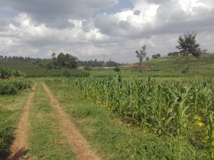 plots for sale in Kiambu Town