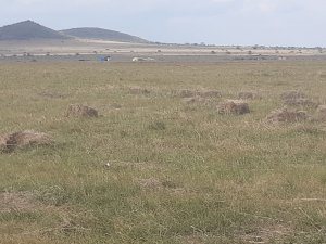 plots for sale in Narok